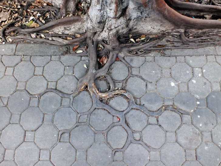 Fotografii uimitoare. Sunt reale