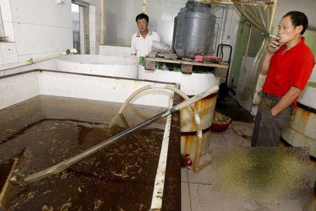 Cum îşi bat joc chinezii de milioane de oameni