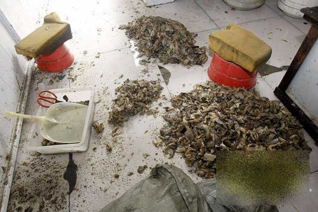 Cum îşi bat joc chinezii de milioane de oameni