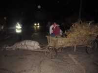 Un tânăr a murit după ce s-a tamponat cu motocicleta într-o căruță